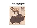 Н.С.Бутарин