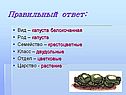 Правильный ответ: