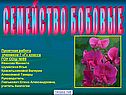 Семейство бобовые