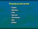 Пищевые растения