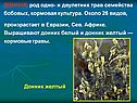 ДОННИК, род одно- и двулетних трав семейства бобовых, кормовая
