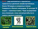 ВИКА , род многолетних и однолетних травянистых растений семейства