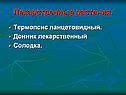 Лекарственные растения