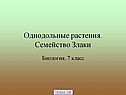 Однодольные растения