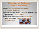 Листья