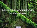 Симбиоз в мире растений и животных