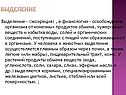 Выделение