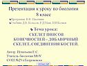 Скелет поясов конечностей