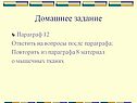 Домашнее задание