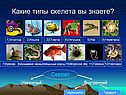 Какие типы скелета вы знаете