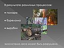 В результате различных процессов: 