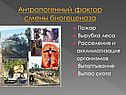 Антропогенный фактор смены биогеценоза