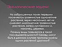 Экологические задачи: