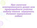 При наличии изолированного двора или приусадебного участка собаку