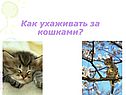 Собаки и кошки