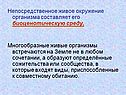 Непосредственное живое окружение организма составляет его