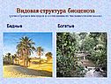 Сообщества в биологии