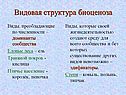 Видовая структура биоценоза