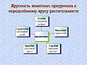 Ярусность животных приурочена к определённому ярусу растительности