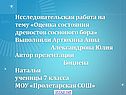 Оценка состояния древостоя соснового бора
