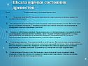 Шкала оценки состояния древостоя