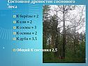 Состояние древостоя соснового леса