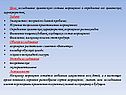 Исследование химического состава мороженого