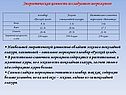 Энергетическая ценность исследуемого мороженого