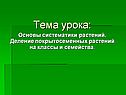 Деление покрытосеменных растений