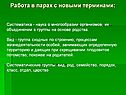 Работа в парах с новыми терминами