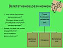 Вегетативное размножение