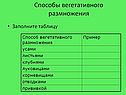 Способы вегетативного размножения