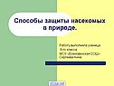 Способы защиты насекомых в природе