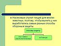 Насекомые