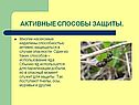 Активные способы защиты
