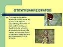 Отпугивание врагов