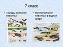 7 класс