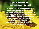 Среда обитания (окружающая среда)