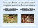 Биотические факторы - это совокупность влияний жизнедеятельности одних