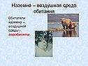 Наземно – воздушная среда обитания