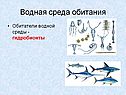 Водная среда обитания
