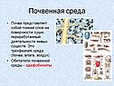 Почвенная среда