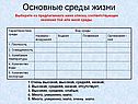 Основные среды жизни