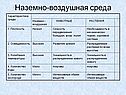 Наземно-воздушная среда