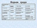Водная среда