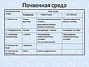 Почвенная среда