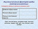Изучение влияния факторов среды (света) на животных
