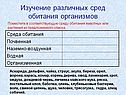 Изучение различных сред обитания организмов