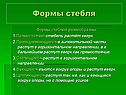 Формы стебля