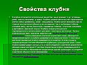 Свойства клубня